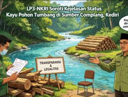 Dari Kayu Tumbang ke Tuntutan Transparansi: LP3-NKRI Minta Status Aset Sumber Complang Dibuka Terang, Publik Desak Kepastian Hukum