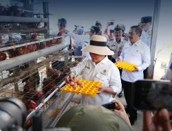 Dari Benteng Pengamanan Maksimum Menjadi Kawah Produktivitas Nasional: Nusakambangan Ubah Stigma, Cetak Ketahanan Pangan dan Harapan Baru bagi Indonesia