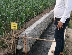Gelombang Desakan Audit P3-TGAI Kediri Menguat, LP3-NKRI Minta Dugaan Penyimpangan APBN 2026 Diusut Tuntas Secara Profesional