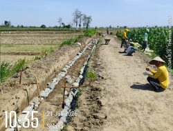 Sorotan Mengarah ke P3-TGAI Desa Kempleng, PASL Ungkap Hasil Investigasi Awal dan Bersiap Tempuh Jalur Pengawasan Resmi